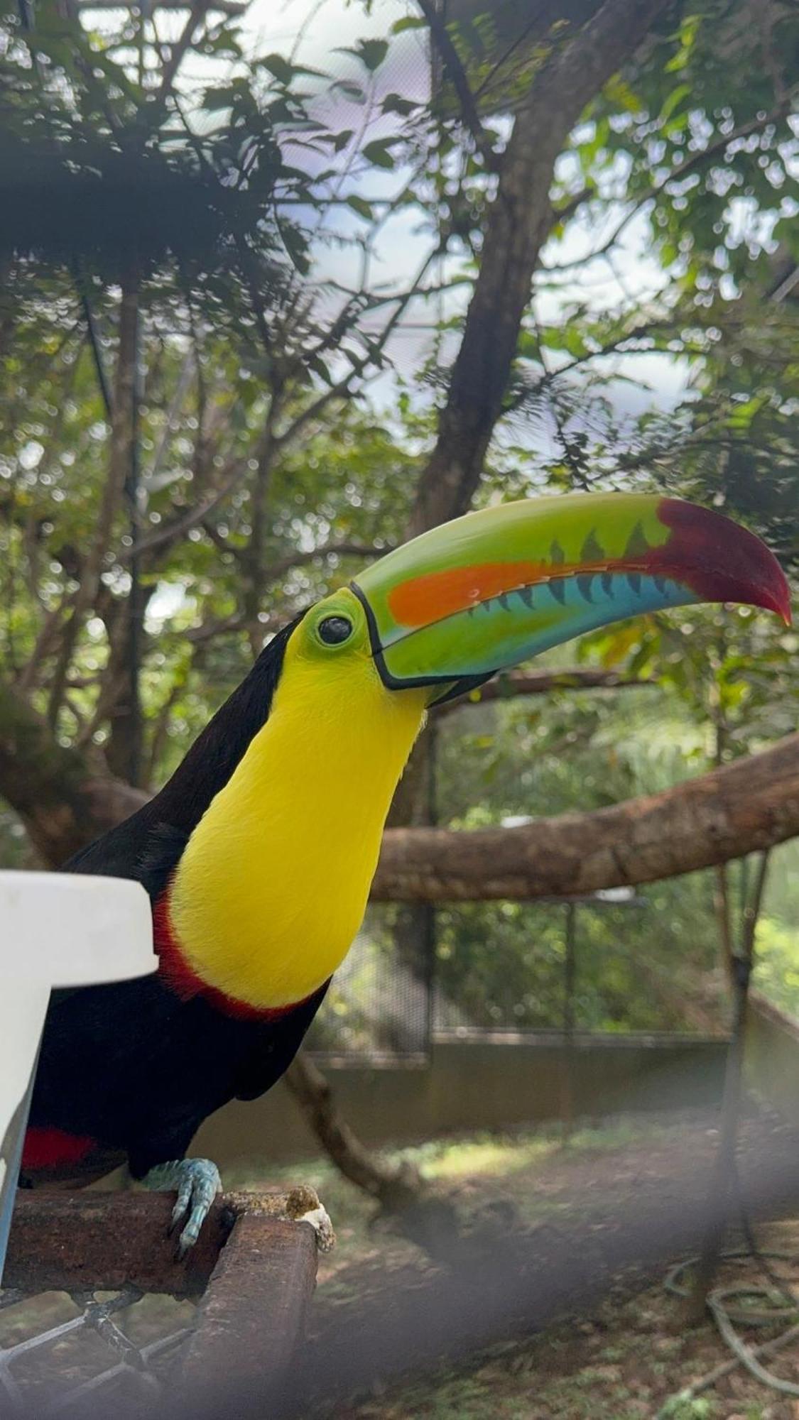 Casa Nero Panama Villa Boca Chica Dış mekan fotoğraf
